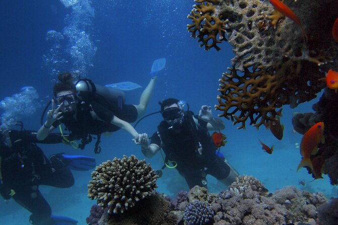 kemer-scuba-diving-experience-two-dives-with-lunch-2