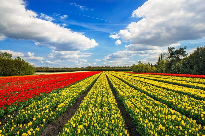 keukenhof-tulip-garden-tour