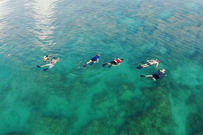 key-west-dolphin-and-snorkel-experience