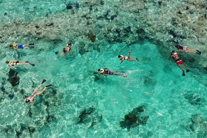 key-west-dolphin-watching-cruise-snorkeling-unlimited-beer-soda