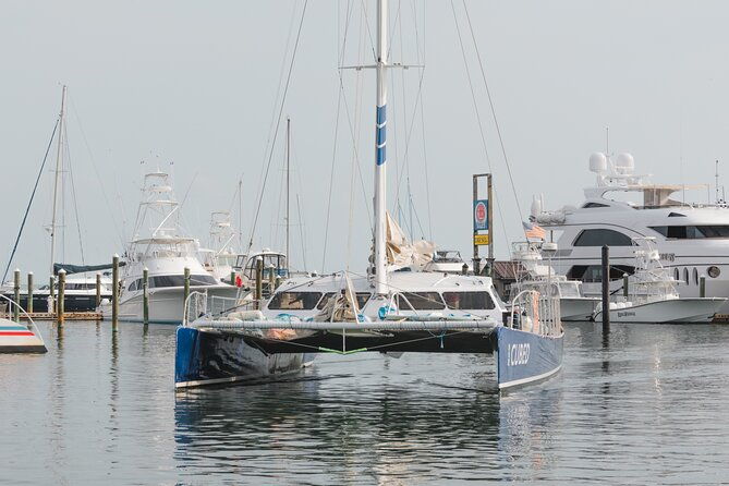 key-wests-favorite-afternoon-dolphin-sail