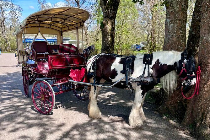 killarney-jaunting-car-tour