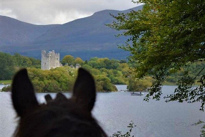 killarney-national-park-horseback-ride-co-kerry-guided-3-hours-2