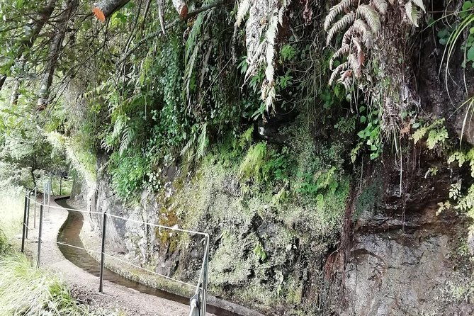 kings-levada-sao-jorge