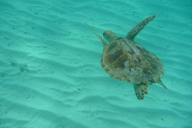 klein-curacao-daytrip-all-inclusive-full-day-boat-tour