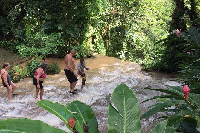 konoko-falls-and-tropical-garden-tour-from-ocho-rios
