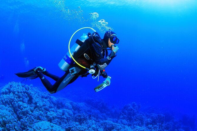 kusadasi-scuba-diving-tour-by-local-experts