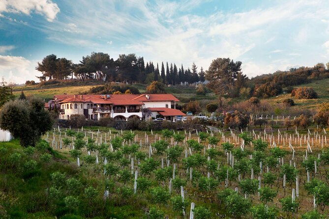 kusadasi-shore-excursions-ephesus-and-wine-tasting-tours-3