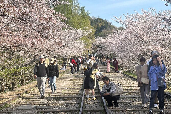 kyoto-osaka-nara-we-fully-booked-up-to