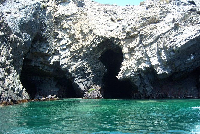 la-serena-full-day-to-damas-island-humboldt-penguin-national-reserve