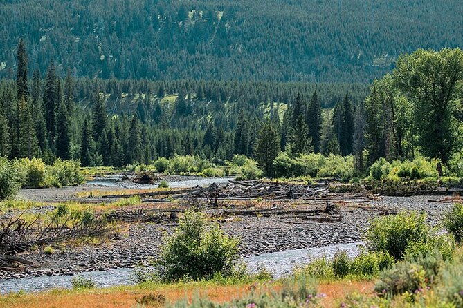 lamar-river-valley-day-hike-tour