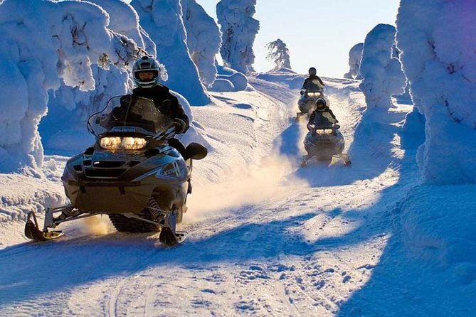 lapland-family-snowmobile-safari-from-levi-2