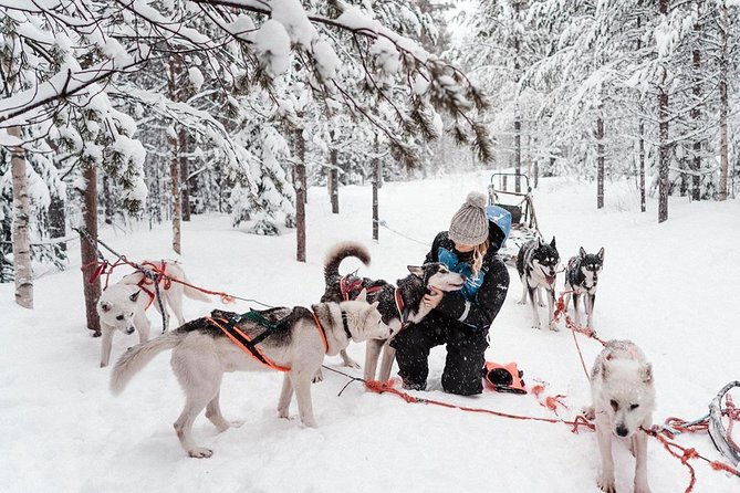 lapland-husky-safari-from-saariselka