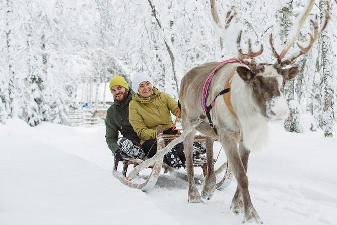 lapland-reindeer-safari-from-levi