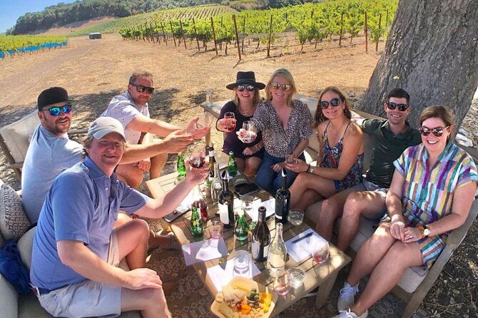 large-group-wine-tasting-tour-for-6-guests-we-drive-your-car