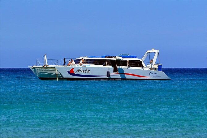late-morning-whale-watch-from-kawaihae