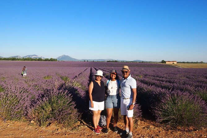 lavender-fields-tour-in-valensole-from-marseille