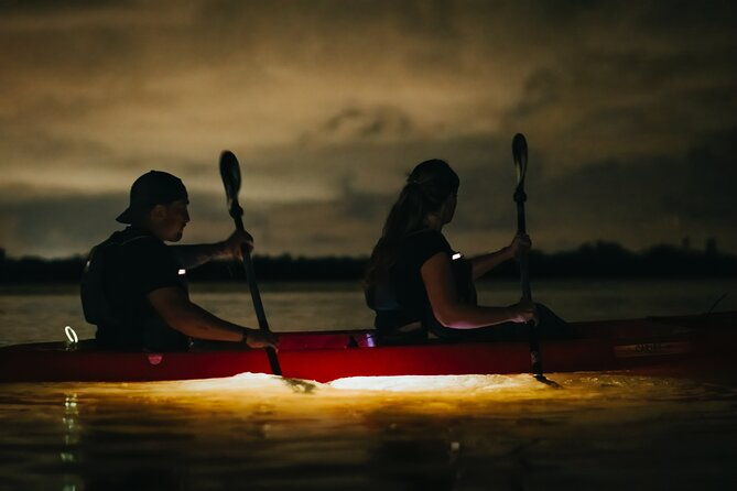 led-bio-comb-jelly-clear-bottom-kayak-or-paddleboard-tour-2