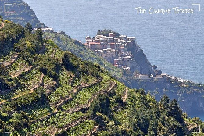 livorno-private-shore-excursion-to-portovenere-and-the-cinque-terre