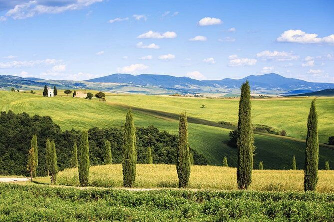 livorno-shore-excursion-bolgheri-and-supertuscan-private-tour