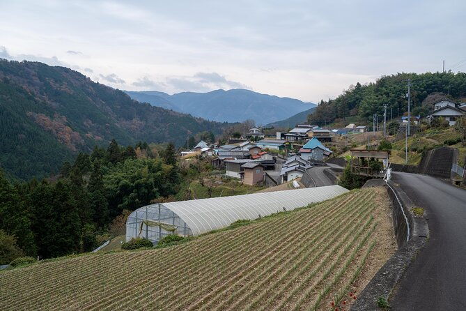 lodging-plans-with-gibier-cuisine-tokushima-shikoku
