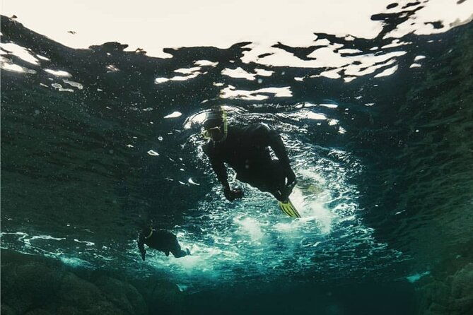 lofoten-grand-canyon-snorkeling-tour