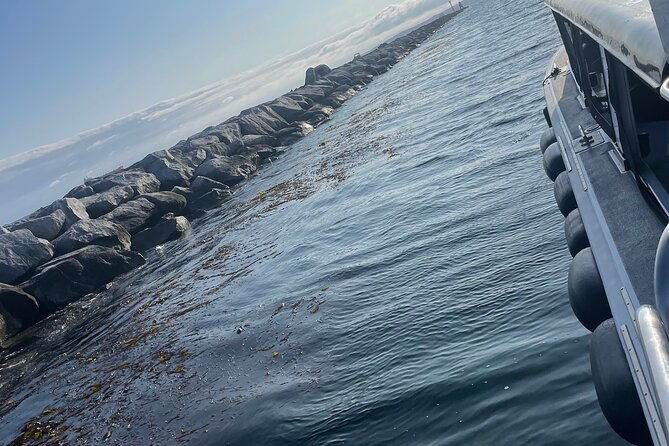 long-beach-glass-bottom-boat-eco-tour-2