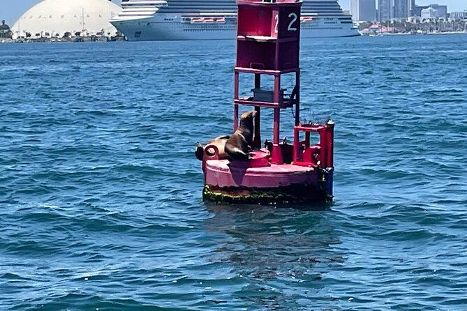 long-beach-glass-bottom-boat-eco-tour