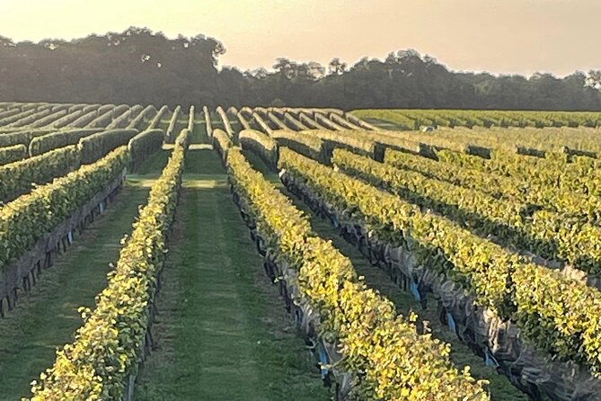 long-island-north-fork-sights-bites-flights-full-day-tour