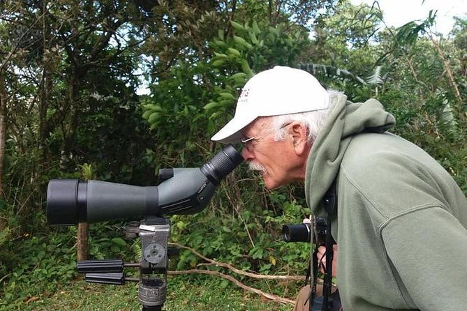 looking-for-toucans