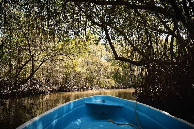 los-haitises-national-park-tour-from-las-terrenas-or-samana-half-day-trip