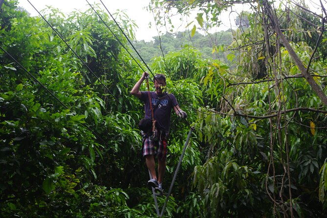 loterie-farm-fly-zone-treetop-zip-line-adventure