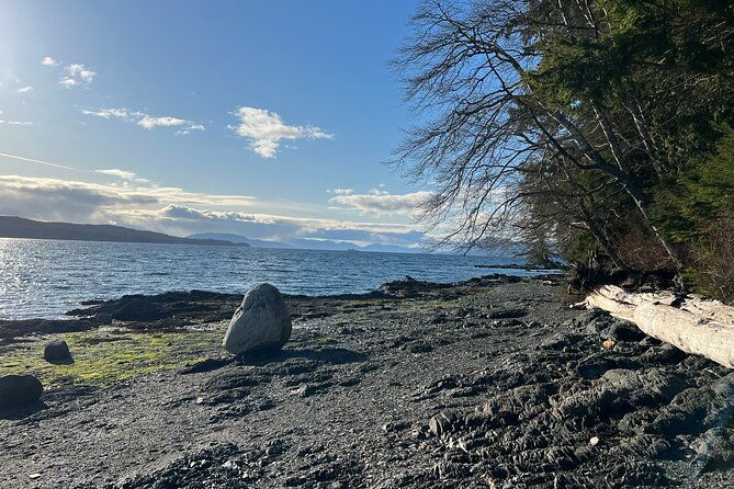 low-tide-excursion-beach-bonfire-w-totem-park-stop-2
