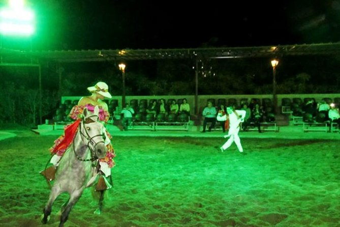 lunch-show-exhibition-of-peruvian-horse-with-pick-up-drop-off
