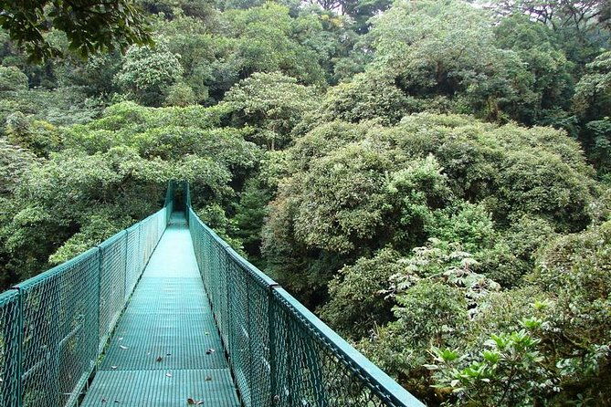 luxury-day-trip-off-the-beaten-path-to-monteverde-rain-forest