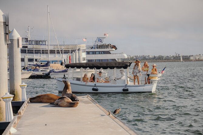 luxury-shared-e-boat-cruise-with-wine-charcuterie-sea-lions-spotting-2