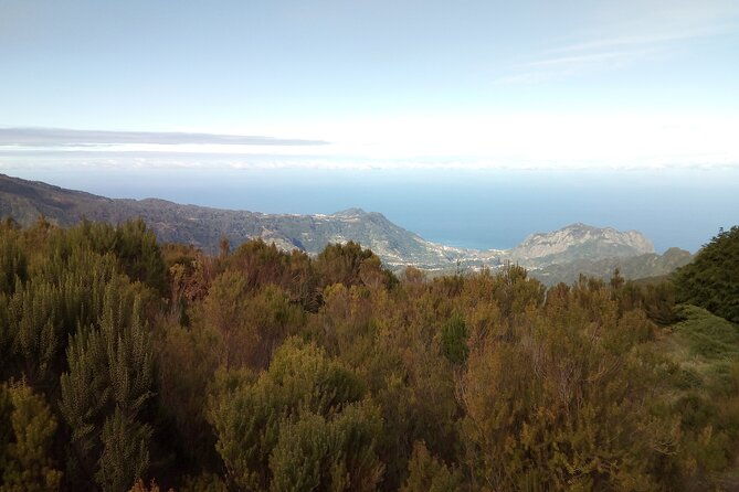 madeira-half-day-old-road-west-sidecar-tour