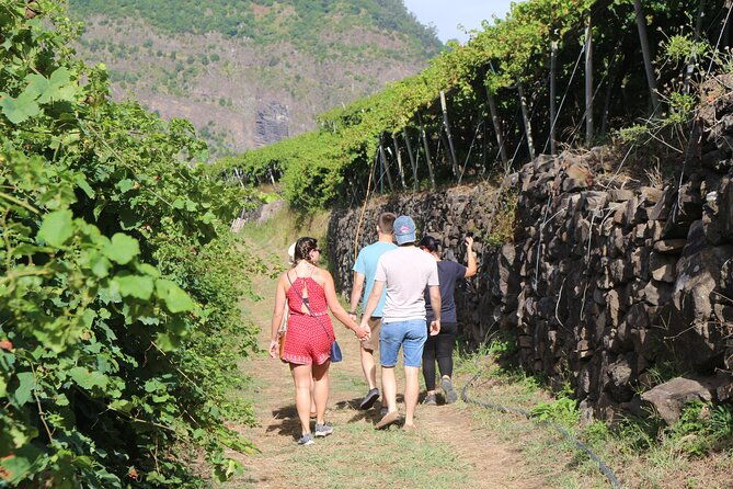 madeira-island-private-wine-full-day-tour-in-all-terrain-vehicle