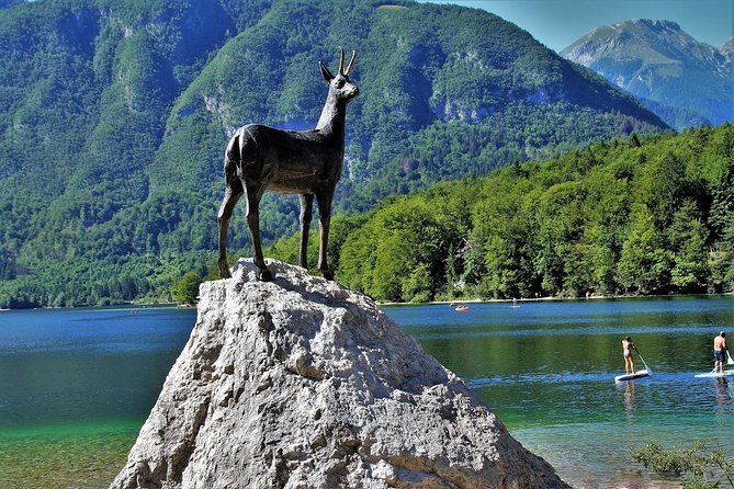 magic-of-alps-triglav-np-with-lake-bohinj-waterfall-savica-hd-trip-from-ljub
