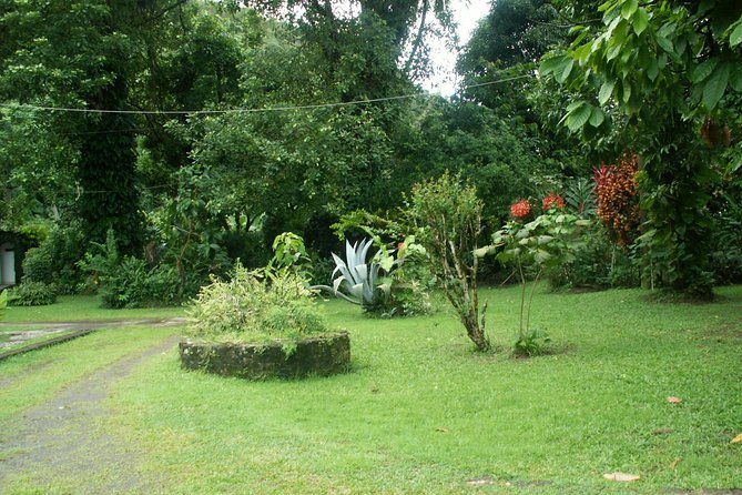 magical-soufriere-a-tour-of-st-lucia