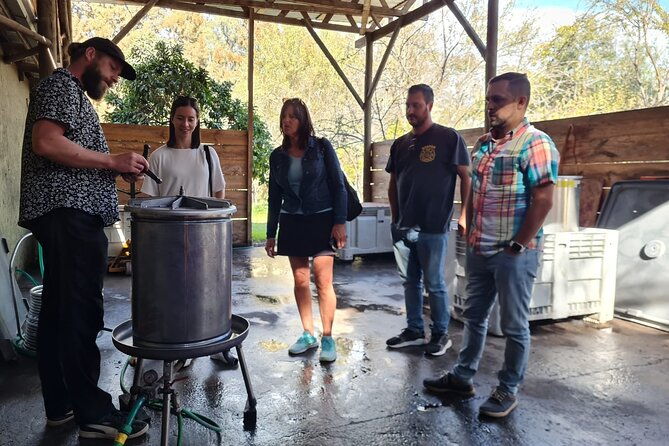 maipo-valley-wine-tour-with-4-vineyards-from-santiago