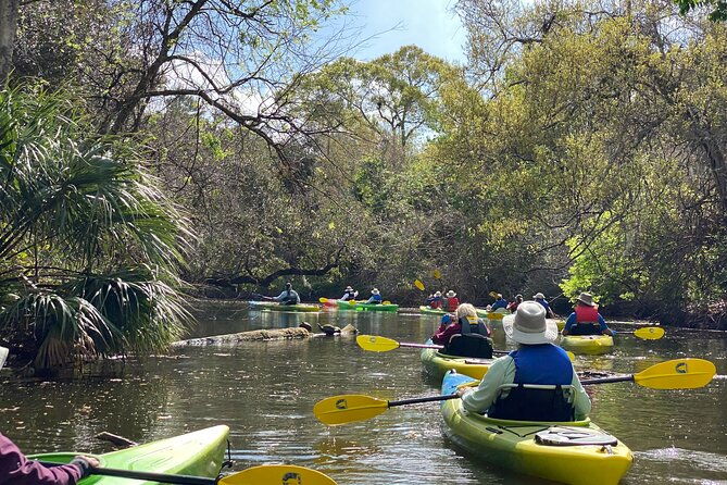 manatee-and-dolphin-kayak-tour-2