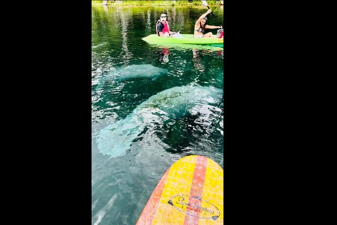 manatees-monkeys-and-florida-natural-spring-adventure-tour
