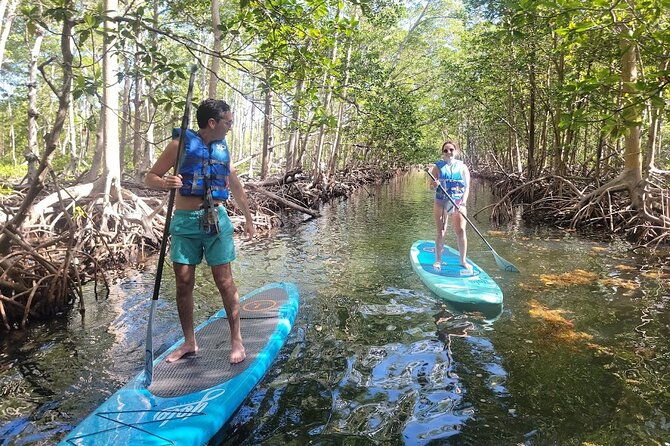 mangrove-jungle-exploration-on-sup-kayak