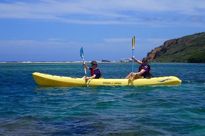 mangrove-lagoon-kayak-rental-in-st-thomas