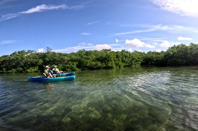mangrove-tunnels-pedal-kayak-eco-tour-in-anna-maria