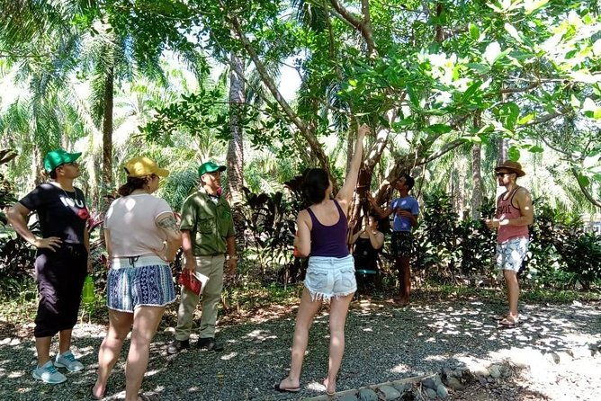 mangrove-walk