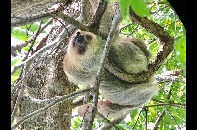 manuel-antonio-national-park-afternoon-wildlife-experience