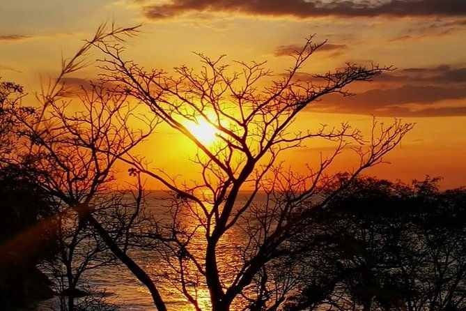 manuel-antonio-national-park-full-wildlife