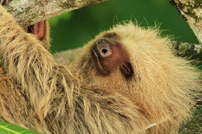 manuel-antonio-national-park-tour-2